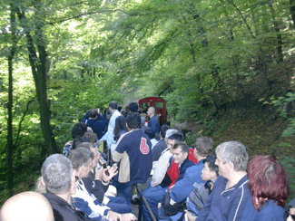 Participants of 14WPC riding through the forest up to the hill.