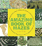 The Amazing Book of Mazes by Adrian Fisher